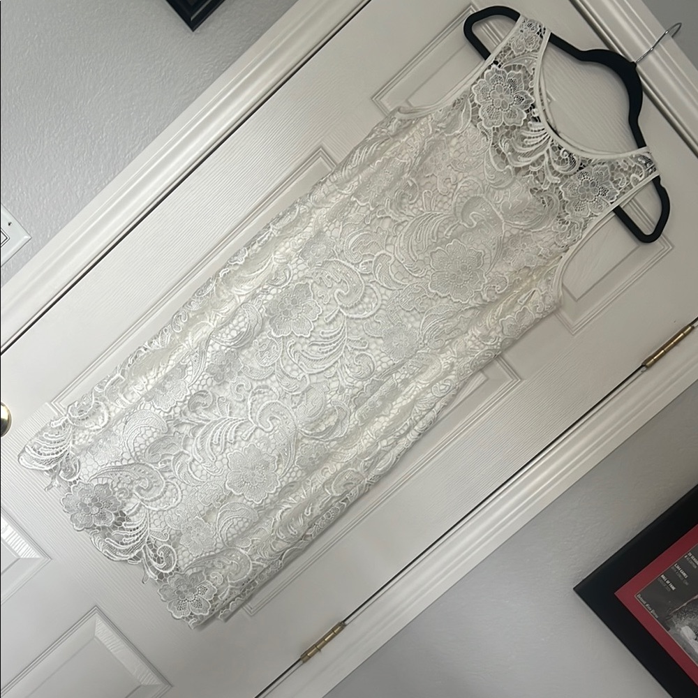 Adrianna Papell Lace Overlay Dress 14